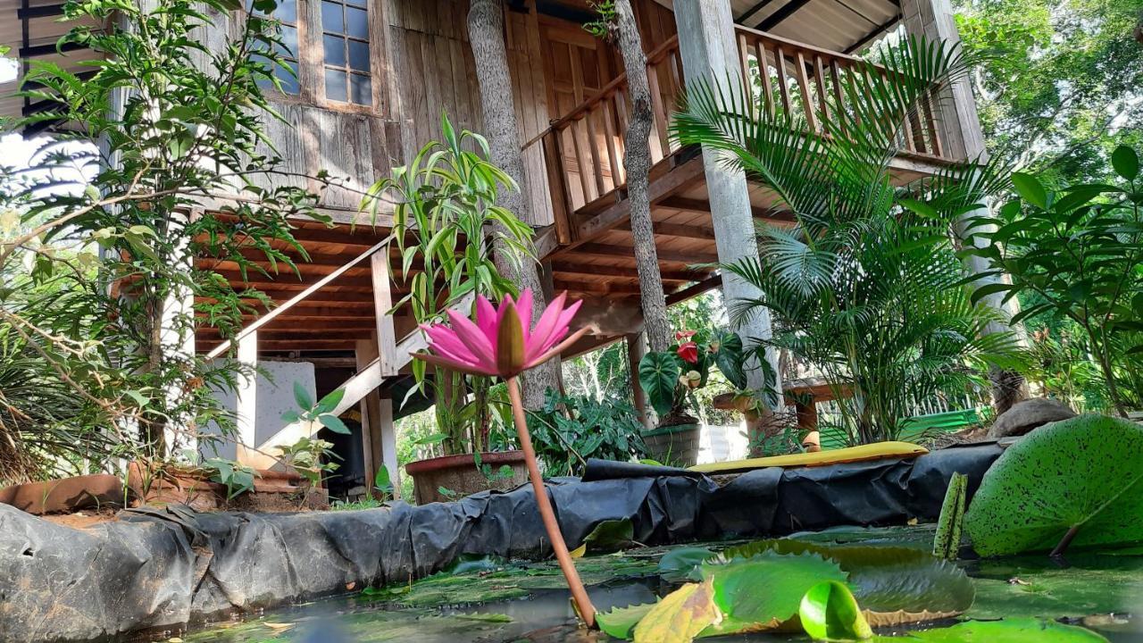 Ruk Sewana Villa Tree House سيغيرِيا المظهر الخارجي الصورة