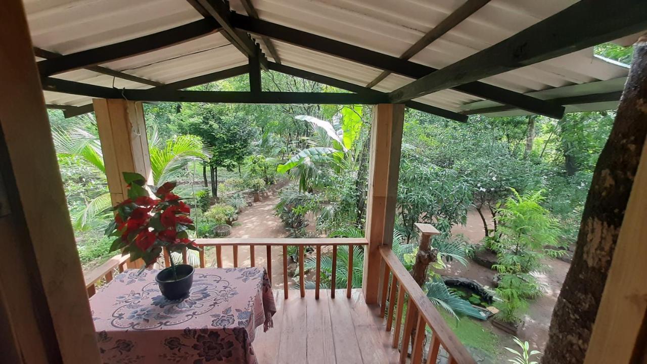 Ruk Sewana Villa Tree House سيغيرِيا المظهر الخارجي الصورة