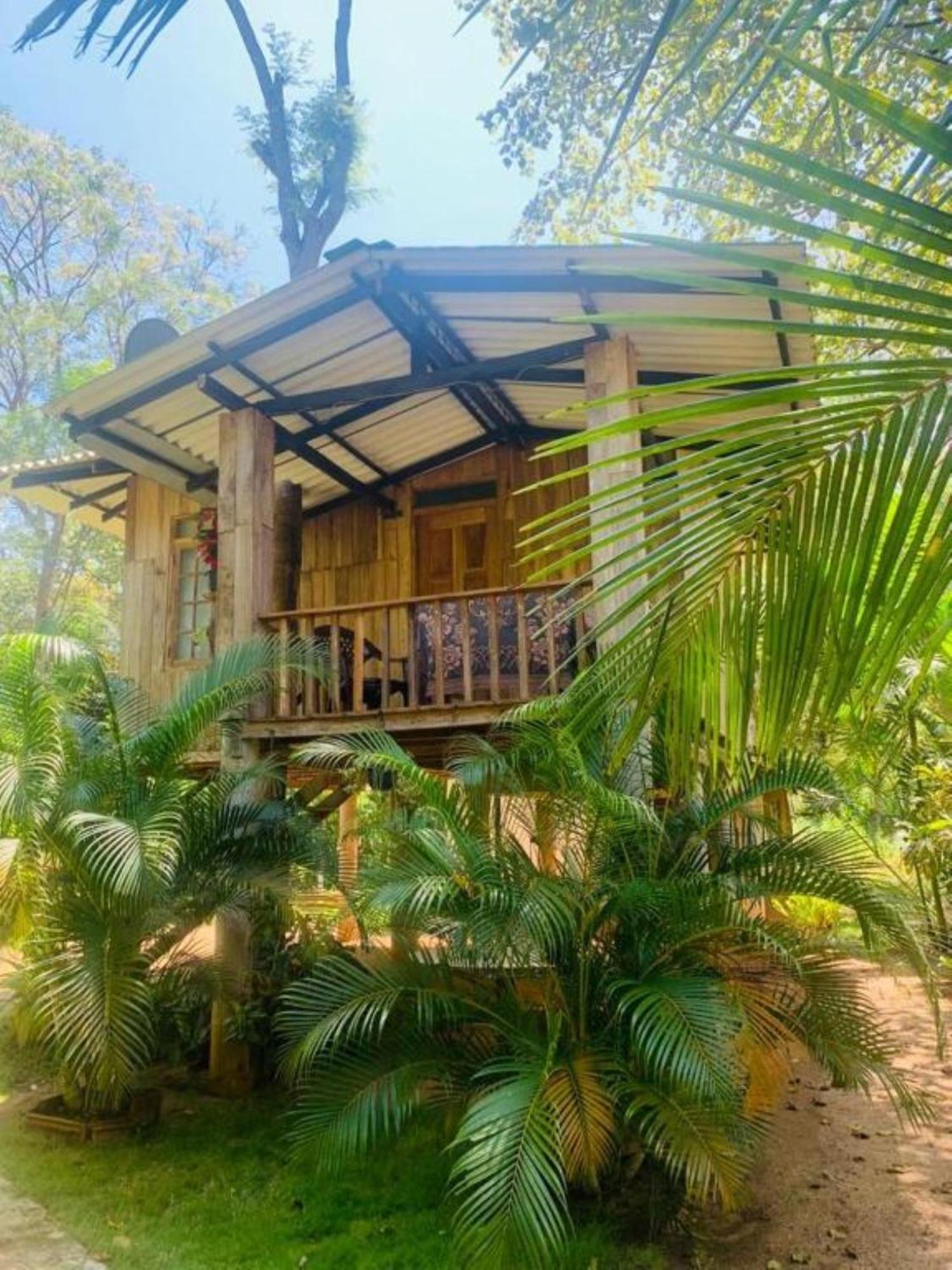 Ruk Sewana Villa Tree House سيغيرِيا المظهر الخارجي الصورة