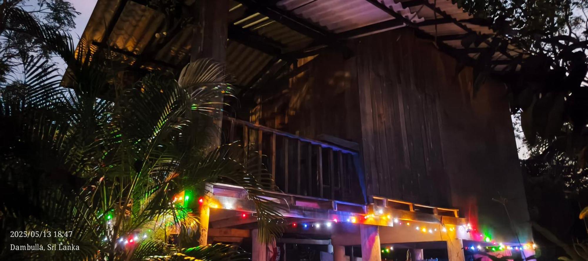 Ruk Sewana Villa Tree House سيغيرِيا المظهر الخارجي الصورة